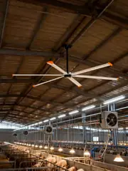 HVLS Fan 24 ft, photo 3